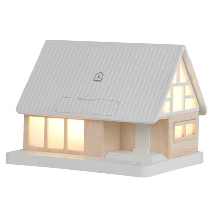 LED stolna lampa s bežičnim punjenjem DREAM HOME LED/2W/230V