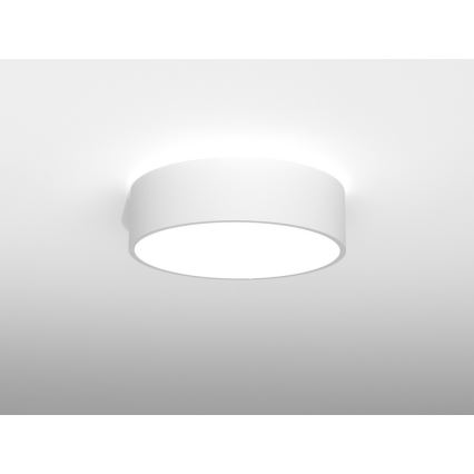 Immax NEO 07024L - LED Prigušiva stropna svjetiljka RONDATE LED/25W/230V + DU Tuya