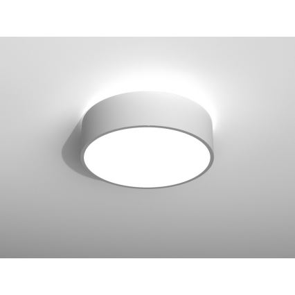 Immax NEO 07024L - LED Prigušiva stropna svjetiljka RONDATE LED/25W/230V + DU Tuya