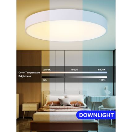 Immax NEO 07028L - LED Prigušiva stropna svjetiljka RONDATE LED/65W/230V + DU Tuya