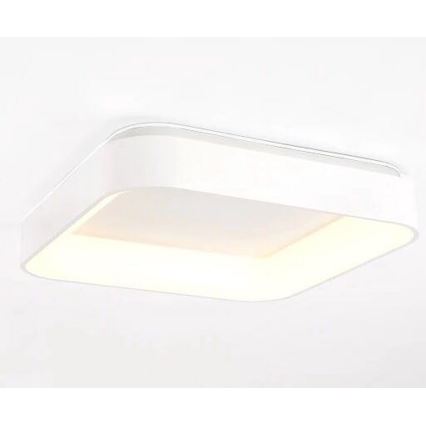 Immax NEO 07032L - LED stropna svjetiljka s prigušivanjem TOPAJA LED/47W/230V Tuya + daljinski upravljač