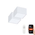 Immax Neo 07072L-15BD - Set 2x LED Stropna svjetiljka CANTO 2xLED/12W/230V + DO Tuya