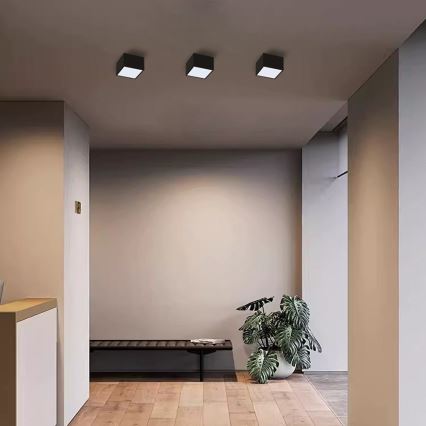 Immax Neo 07074L-15BD - Set 2x LED Prigušiva stropna svjetiljka CANTO 2xLED/12W/230V + daljinski upravljač Tuya