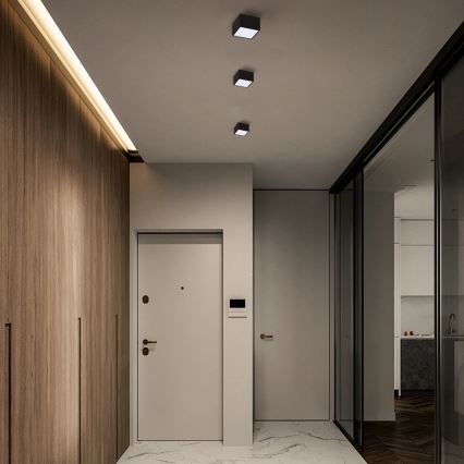 Immax Neo 07074L-15BD - Set 2x LED Prigušiva stropna svjetiljka CANTO 2xLED/12W/230V + daljinski upravljač Tuya