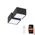 Immax Neo 07074L-15BD - Set 2x LED Stropna svjetiljka CANTO 2xLED/12W/230V + DO Tuya