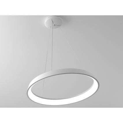 Immax NEO 07079L-80 - LED Prigušivi luster na sajli LIMITADO LED/48W/230V 80 cm Tuya