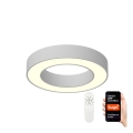 Immax NEO 07095L - LED stropna svjetiljka s prigušivanjem PASTEL LED/52W/230V 60 cm Tuya + daljinski upravljač