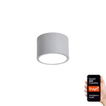 Immax NEO 07143-GR15X - LED Prigušiva stropna svjetiljka RONDATE LED/12W/230V Tuya siva