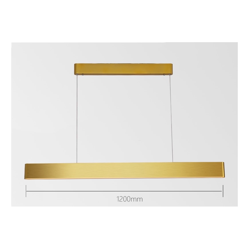 Immax NEO 07157-G120X - LED RGB+CCTW Prigušivi luster na sajli MILANO LED/40W/230V Tuya zlatna