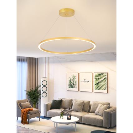 Immax NEO 07159-G80 - LED Prigušivi luster na sajli FINO LED/60W/230V Tuya zlatna + daljinski upravljač