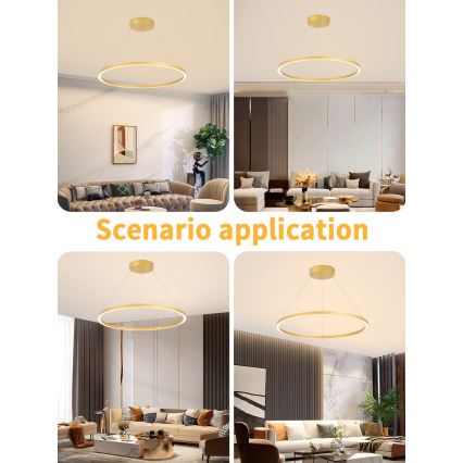 Immax NEO 07159-G80 - LED Prigušivi luster na sajli FINO LED/60W/230V Tuya zlatna + daljinski upravljač