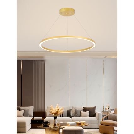 Immax NEO 07159-G80 - LED Prigušivi luster na sajli FINO LED/60W/230V Tuya zlatna + daljinski upravljač