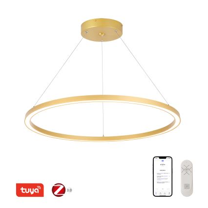 Immax NEO 07159-G80 - LED Prigušivi luster na sajli FINO LED/60W/230V Tuya zlatna + daljinski upravljač