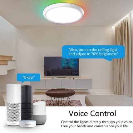 Immax NEO 07164-40 - LED RGB+CCT stropna svjetiljka s mogućnošću prigušivanja NEO LITE TUDO LED/50W/230V Wi-Fi Tuya + daljinski upravljač