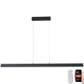 Immax NEO 07234L - LED prigušivački luster na užetu NEO LITE TRIANGOLO LED/28W/230V Wi-Fi Tuya 2700-6500K + daljinski upravljač
