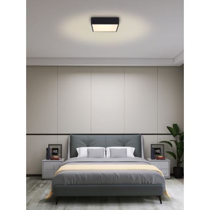 Immax NEO 07237L - LED stropna svjetiljka s prigušivanjem CANTO LED/22W/230V crna Tuya + daljinski upravljač