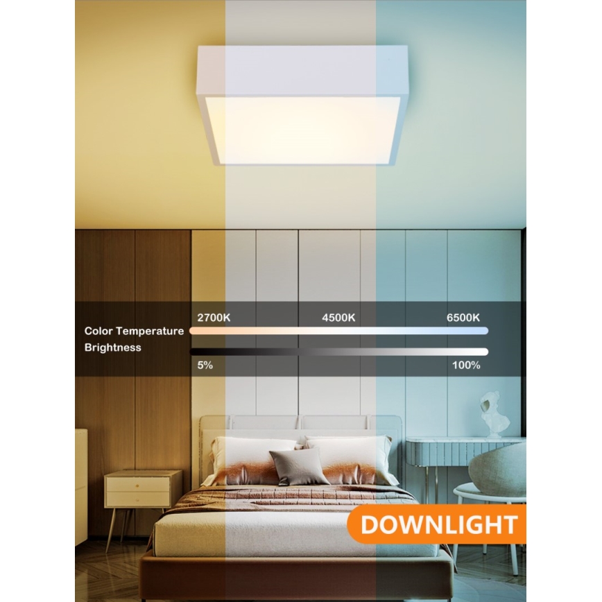 Immax NEO 07238L - LED Prigušiva stropna svjetiljka CANTO LED/22W/230V bijela Tuya + daljinski upravljač