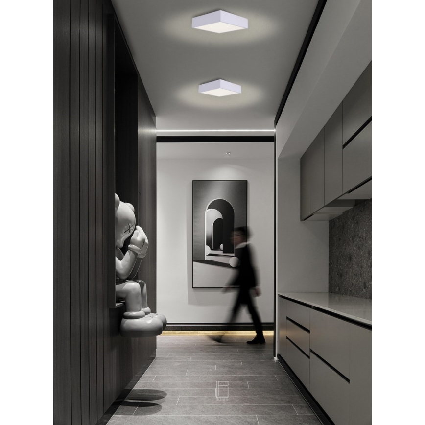 Immax NEO 07238L - LED stropna svjetiljka s prigušivanjem CANTO LED/22W/230V bijela Tuya + daljinski upravljač