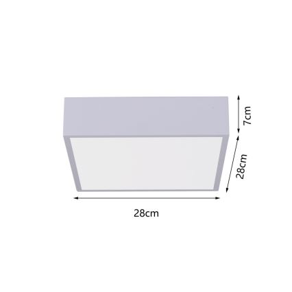 Immax NEO 07238L - LED stropna svjetiljka s prigušivanjem CANTO LED/22W/230V bijela Tuya + daljinski upravljač