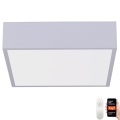 Immax NEO 07238L - LED stropna svjetiljka s prigušivanjem CANTO LED/22W/230V bijela Tuya + daljinski upravljač