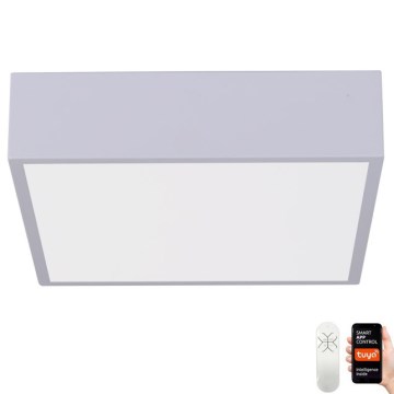 Immax NEO 07238L - LED stropna svjetiljka s prigušivanjem CANTO LED/22W/230V bijela Tuya + daljinski upravljač