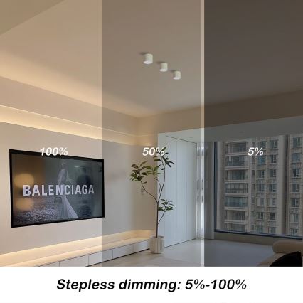 Immax NEO 07241L - LED stropna svjetiljka s prigušivanjem RONDATE LED/18W/230V 11,5 cm Wi-Fi Tuya