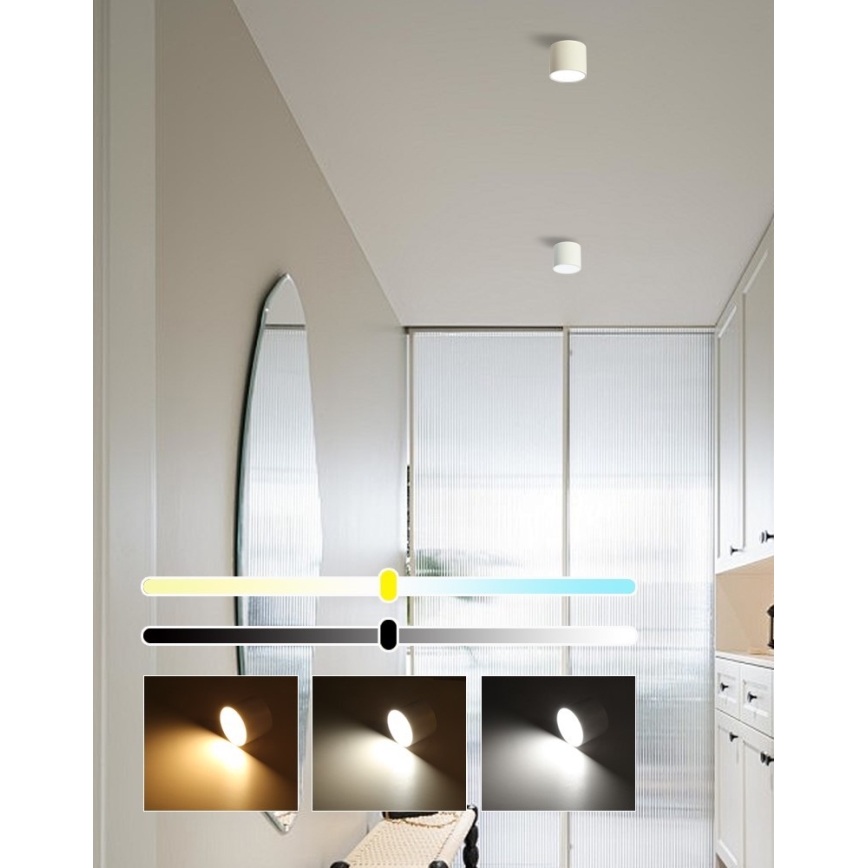 Immax NEO 07241L - LED stropna svjetiljka s prigušivanjem RONDATE LED/18W/230V 11,5 cm Wi-Fi Tuya