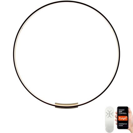 Immax NEO 07245-120 - LED prigušivo zidno svjetlo FINO LED/70W/230V 120 cm Tuya + daljinski upravljač