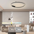 Immax NEO 07246-80 - LED stropna svjetiljka s prigušivanjem FINO LED/55W/230V 80cm Tuya + daljinski upravljač