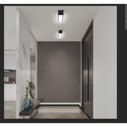 Immax NEO 07254L - LED stropna svjetiljka s prigušivanjem NEO LITE LUNGO LED/20W/230V 3000-6000K Wi-Fi Tuya crna + daljinski upravljač