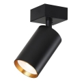 Immax NEO 07260W - LED RGB+CCT Prigušiva reflektorska svjetiljka NEO LITE PUNTO 1xGU10/6W/230V Wi-Fi Tuya