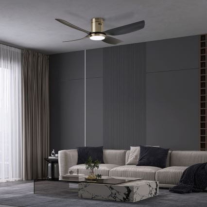 Immax NEO 07282L - LED+CCT Stropni ventilator PURE s mogućnošću prigušivanja LED/24W/230V 3000/4000/6000K Wi‑Fi Tuya + daljinski upravljač