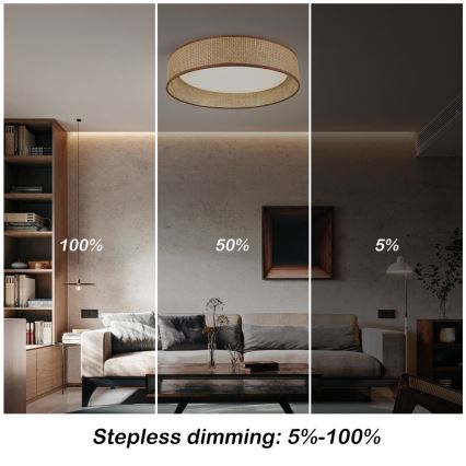 Immax NEO 07288L - LED+CCT Prigušivo stropno svjetlo LONA LED/36W/230V 3000-6000K Wi-Fi Tuya Ø 45,5 cm + daljinski upravljač