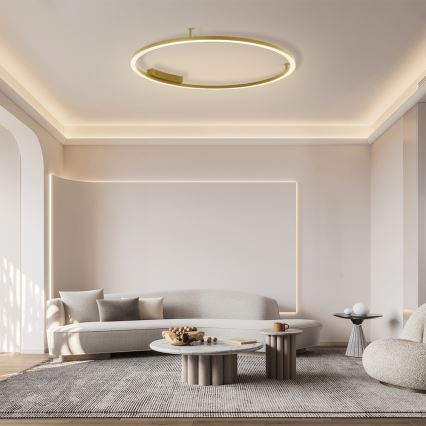 Immax NEO 07290-120G - LED+CCT prigušivo stropno LED svjetlo FINO LED/55W/230V 2700-6500K Tuya, promjer 120 cm + daljinski upravljač