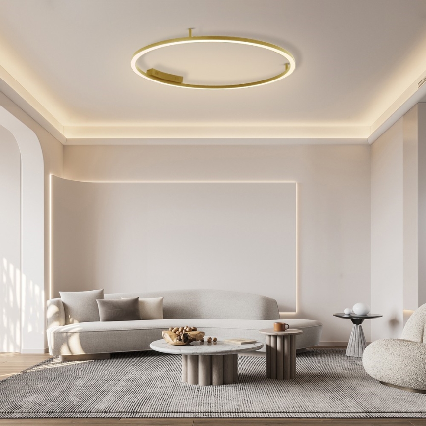 Immax NEO 07290-120G - LED+CCT prigušivo stropno LED svjetlo FINO LED/55W/230V 2700-6500K Tuya, promjer 120 cm + daljinski upravljač