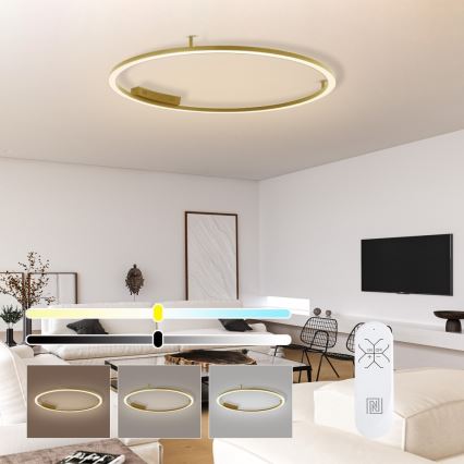 Immax NEO 07290-120G - LED+CCT prigušivo stropno LED svjetlo FINO LED/55W/230V 2700-6500K Tuya, promjer 120 cm + daljinski upravljač