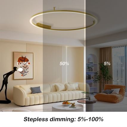 Immax NEO 07290-120G - LED+CCT prigušivo stropno LED svjetlo FINO LED/55W/230V 2700-6500K Tuya, promjer 120 cm + daljinski upravljač