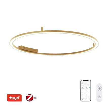 Immax NEO 07290-120G - LED+CCT prigušivo stropno LED svjetlo FINO LED/55W/230V 2700-6500K Tuya, promjer 120 cm + daljinski upravljač