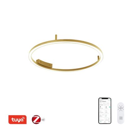 Immax NEO 07291-80G - LED+CCT Prigušiva stropna svjetiljka FINO LED/55W/230V 2700-6500K Tuya Ø 80 cm + daljinski upravljač