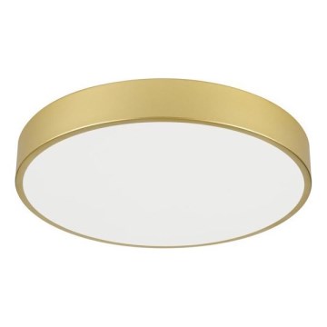 Immax NEO 07292L - LED+CCT Prigušiva stropna svjetiljka SEMPLICI LED/36W/230V 2700-6500K promjer 40 cm + daljinski upravljač