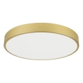 Immax NEO 07293L - prigušivo LED stropno svjetlo NEO LITE SEMPLICI LED/60W/230V 3000-6000K Ø 60 cm Wi-Fi Tuya zlatna + daljinski upravljač