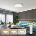 Immax NEO 07293L - prigušivo LED stropno svjetlo NEO LITE SEMPLICI LED/60W/230V 3000-6000K Ø 60 cm Wi-Fi Tuya zlatna + daljinski upravljač