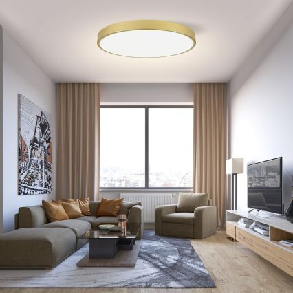 Immax NEO 07311L - LED prigušivo stropno svjetlo SEMPLICI LED/96W/230V Ø 80 cm Wi-Fi Tuya, zlatna + daljinski upravljač