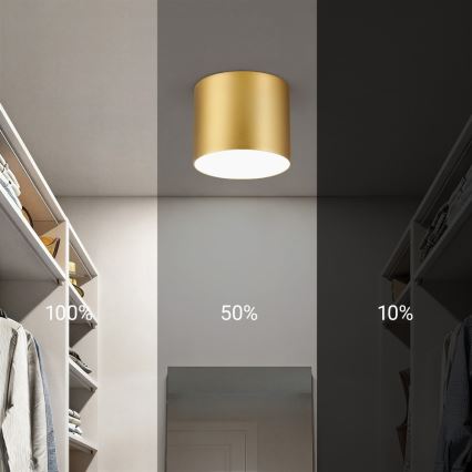 Immax NEO 07317L - Prigušiva stropna LED svjetiljka RONDATE LED/18W/230V pr. 11,5 cm Wi-Fi Tuya zlatna