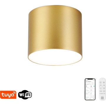 Immax NEO 07317L - LED stropna svjetiljka s mogućnošću prigušivanja RONDATE LED/18W/230V prom. 11,5 cm Wi-Fi Tuya zlatna