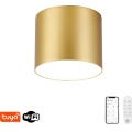 Immax NEO 07317L - Prigušiva stropna LED svjetiljka RONDATE LED/18W/230V pr. 11,5 cm Wi-Fi Tuya zlatna