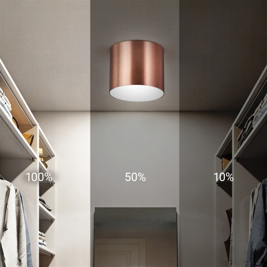 Immax NEO 07319L - prigušivo LED stropno svjetlo RONDATE LED/18W/230V, promjer 11,5 cm, Wi-Fi Tuya, ružičasto zlato