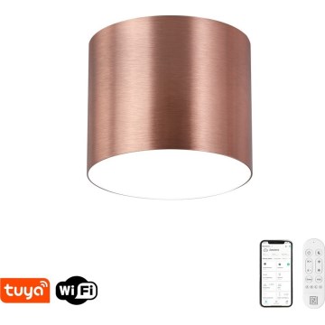 Immax NEO 07319L - Prigušivo LED stropno svjetlo RONDATE, 18W/230V, Ø 11,5 cm, Wi‑Fi Tuya, ružičasto-zlatna