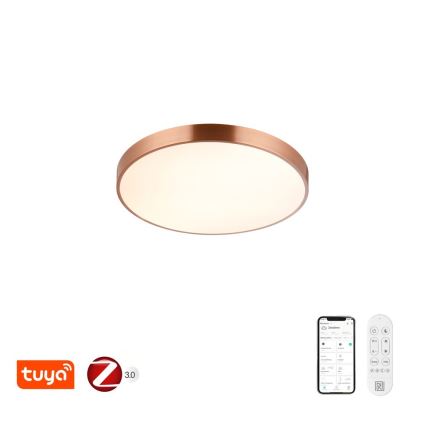 Immax NEO 07321L - LED stropna svjetiljka s mogućnošću prigušivanja NEO LITE SEMPLICI LED/36W/230V, promjer 40 cm, Tuya ružičasto zlato + daljinski upravljač