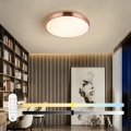 Immax NEO 07321L - LED stropna svjetiljka s mogućnošću prigušivanja NEO LITE SEMPLICI LED/36W/230V, promjer 40 cm, Tuya ružičasto zlato + daljinski upravljač